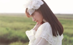 向日葵西瓜黄瓜丝瓜葫芦